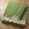 Verde claro