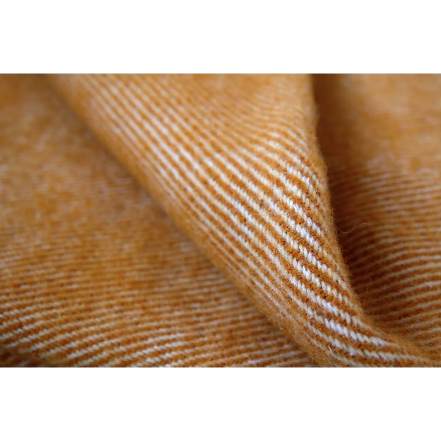 Large ochre