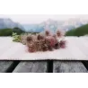 Ehrliches Tischtuch