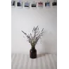 Ehrliches Tischtuch