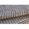 Large gray striped
