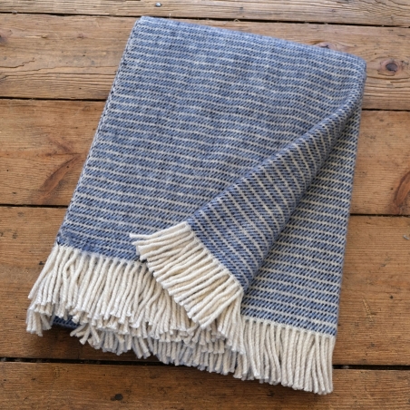 copia de Velká šedivě pruhovaná