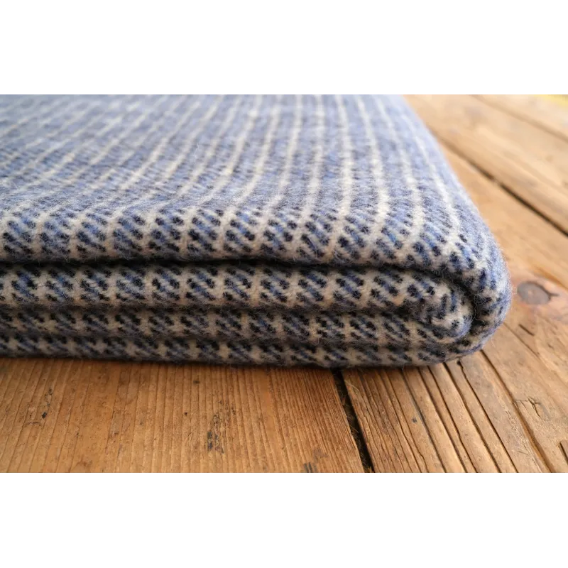 copia de Velká šedivě pruhovaná