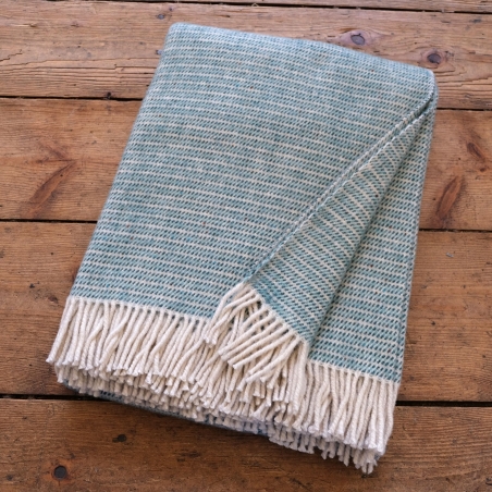 copia de copia de Velká šedivě pruhovaná