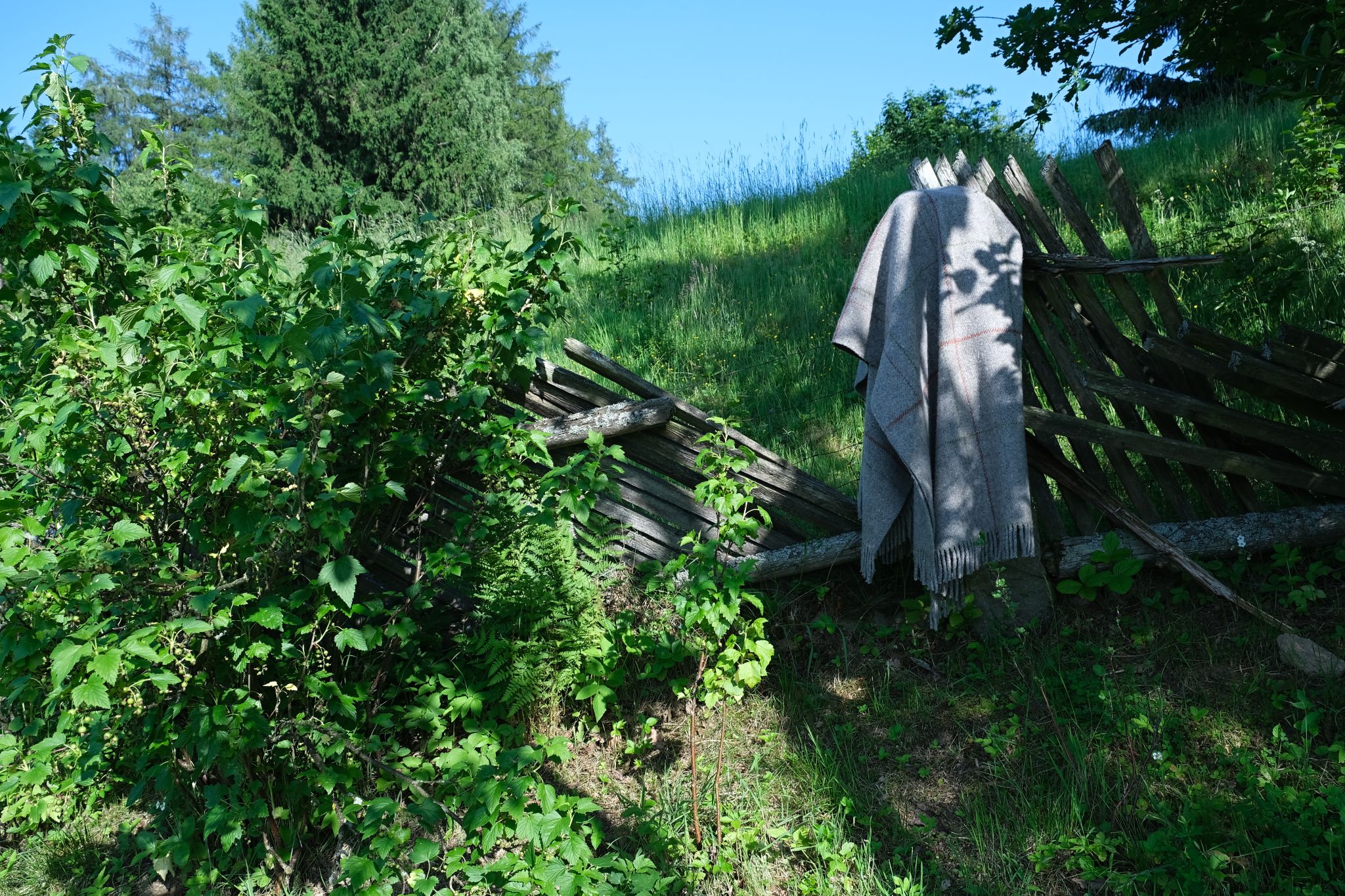 DSCF7251.jpg